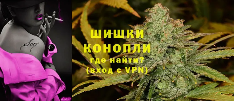 Бошки марихуана Amnesia  где купить наркоту  Людиново 